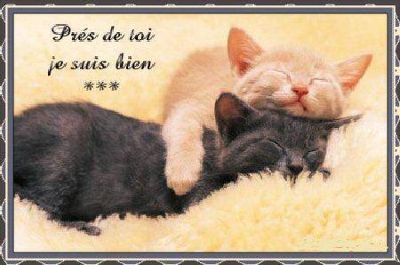 elle est trop mignone cette photo!!!!!!!!!!